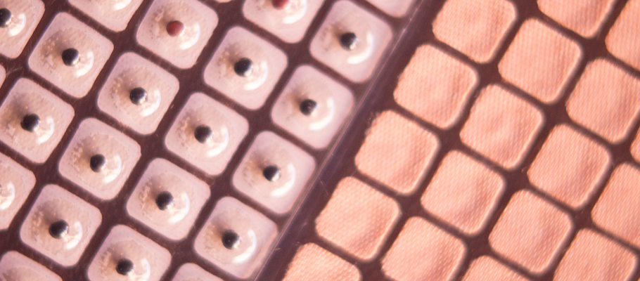 Akupunkturní semínka Akupunkturní semínka