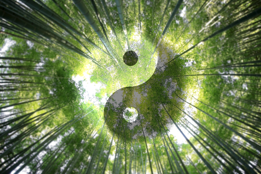 Koronavirus v zajetí tradiční čínské medicíny Koronavirus v zajetí tradiční čínské medicíny