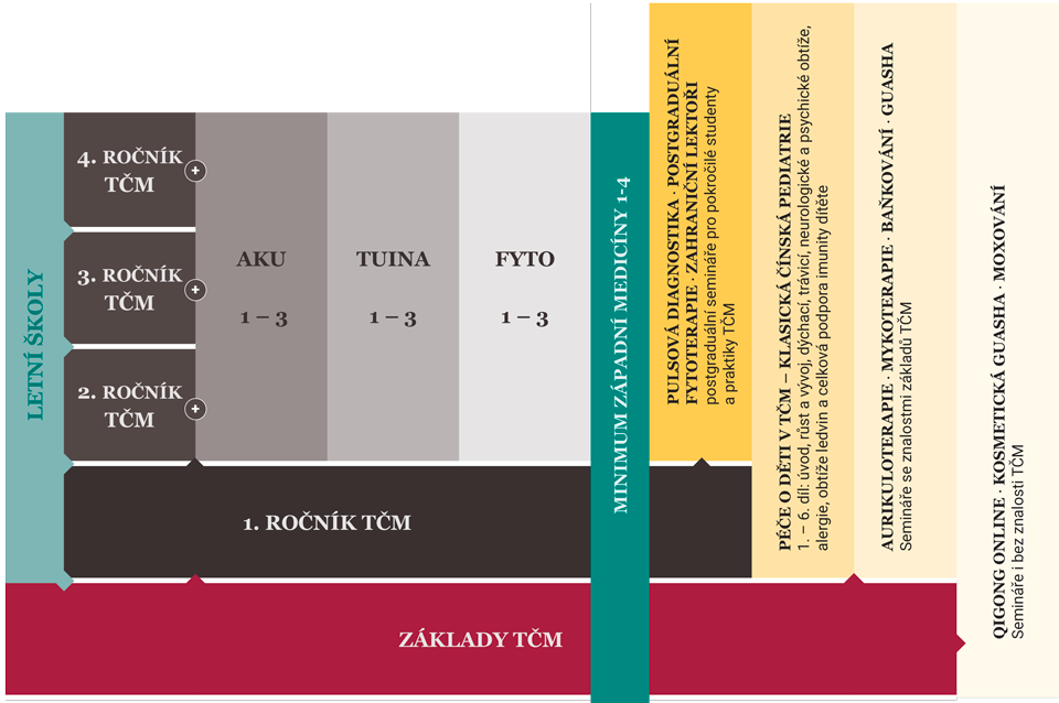 Přehled studia v 1. škole TČM