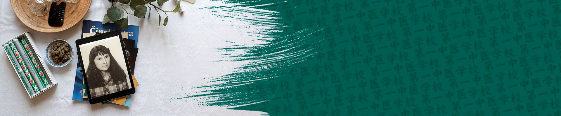 Učíme TČM už ...