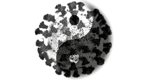 Co ještě víme o koronaviru a TČM? (2. část)