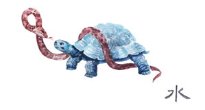 53. kongres tradiční čínské medicíny v Rothenburgu 2022