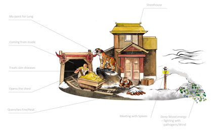 Význam akupunkturních bodů 2/4