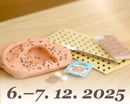 Aurikuloterapie 1: úvod do ušní akupunktury (6.–7. 12. 2025)